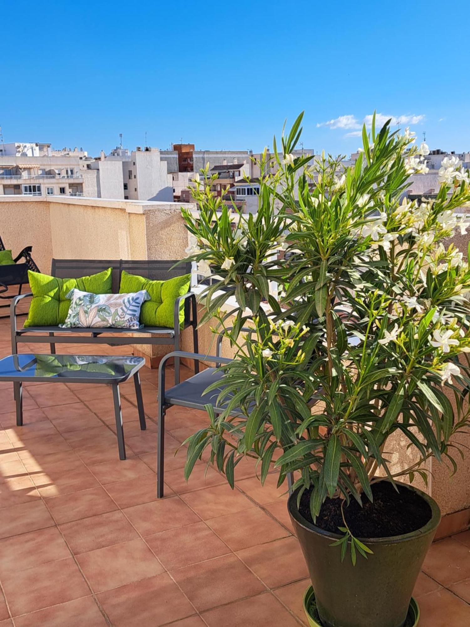 Atico Roof Top Торевиеха Екстериор снимка